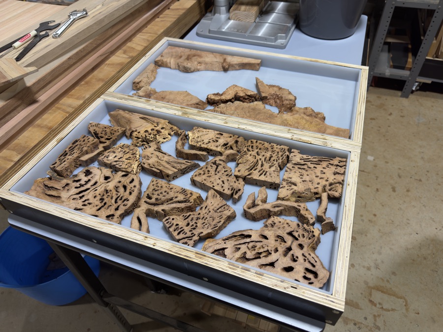 Raw burl pieces laid out in mould before epoxy pour